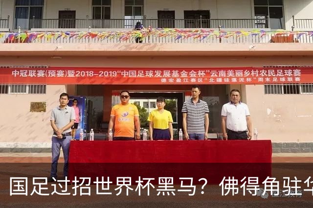 国足过招世界杯黑马？佛得角驻华大使：期待国家队来中国踢一场球
